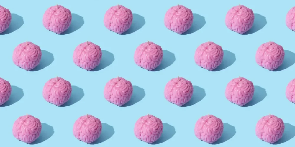 mini brains mini brains